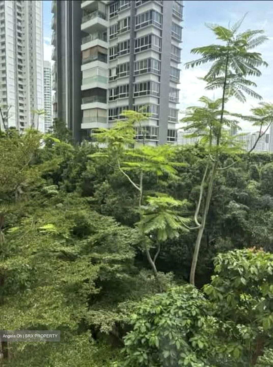 Blk 127C Kim Tian Green (Bukit Merah), HDB 3 Rooms #569691911